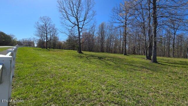 217 A Day Dream Drive Dunlap TN 37327