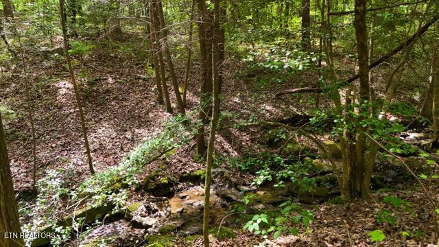 Lot 37/38a T Crowe Circle Soddy-daisy TN 37379