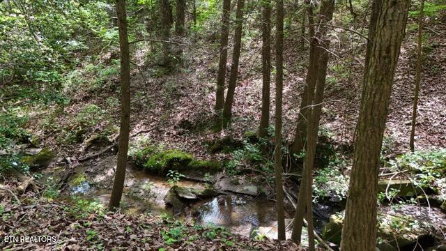 Lot 37/38a T Crowe Circle Soddy-daisy TN 37379
