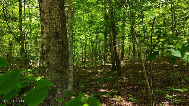 Lot 37/38a T Crowe Circle Soddy-daisy TN 37379