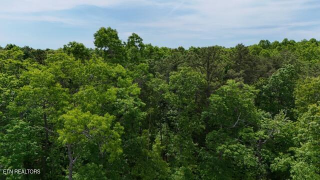 Lot 37/38a T Crowe Circle Soddy-daisy TN 37379