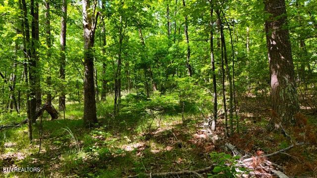 Lot 37/38a T Crowe Circle Soddy-daisy TN 37379
