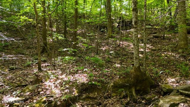 Lot 37/38a T Crowe Circle Soddy-daisy TN 37379