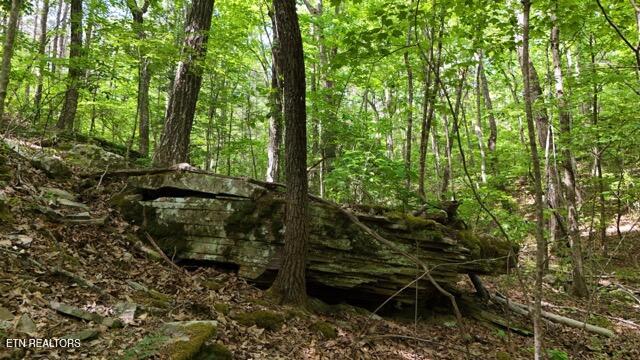 Lot 37/38a T Crowe Circle Soddy-daisy TN 37379