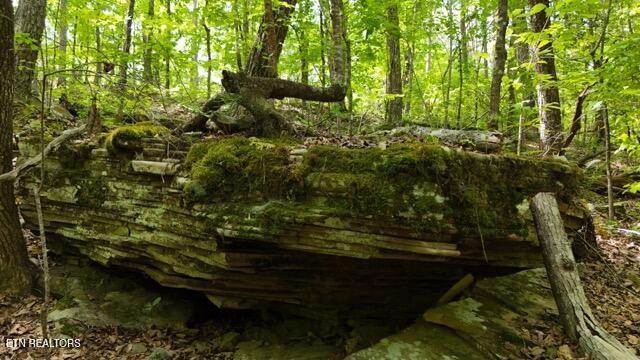 Lot 37/38a T Crowe Circle Soddy-daisy TN 37379