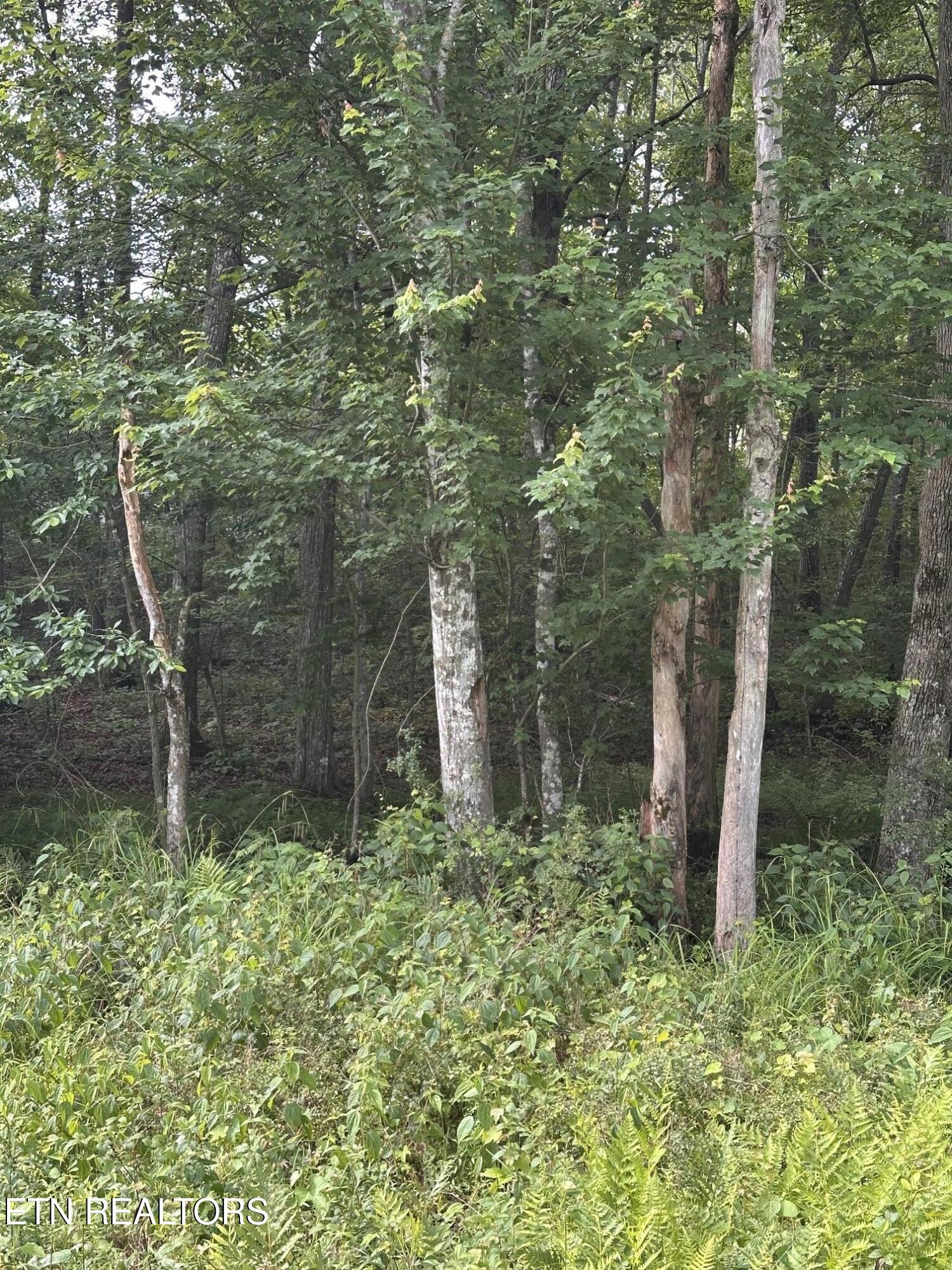 3031 Shawnee Road Crossville TN 38572
