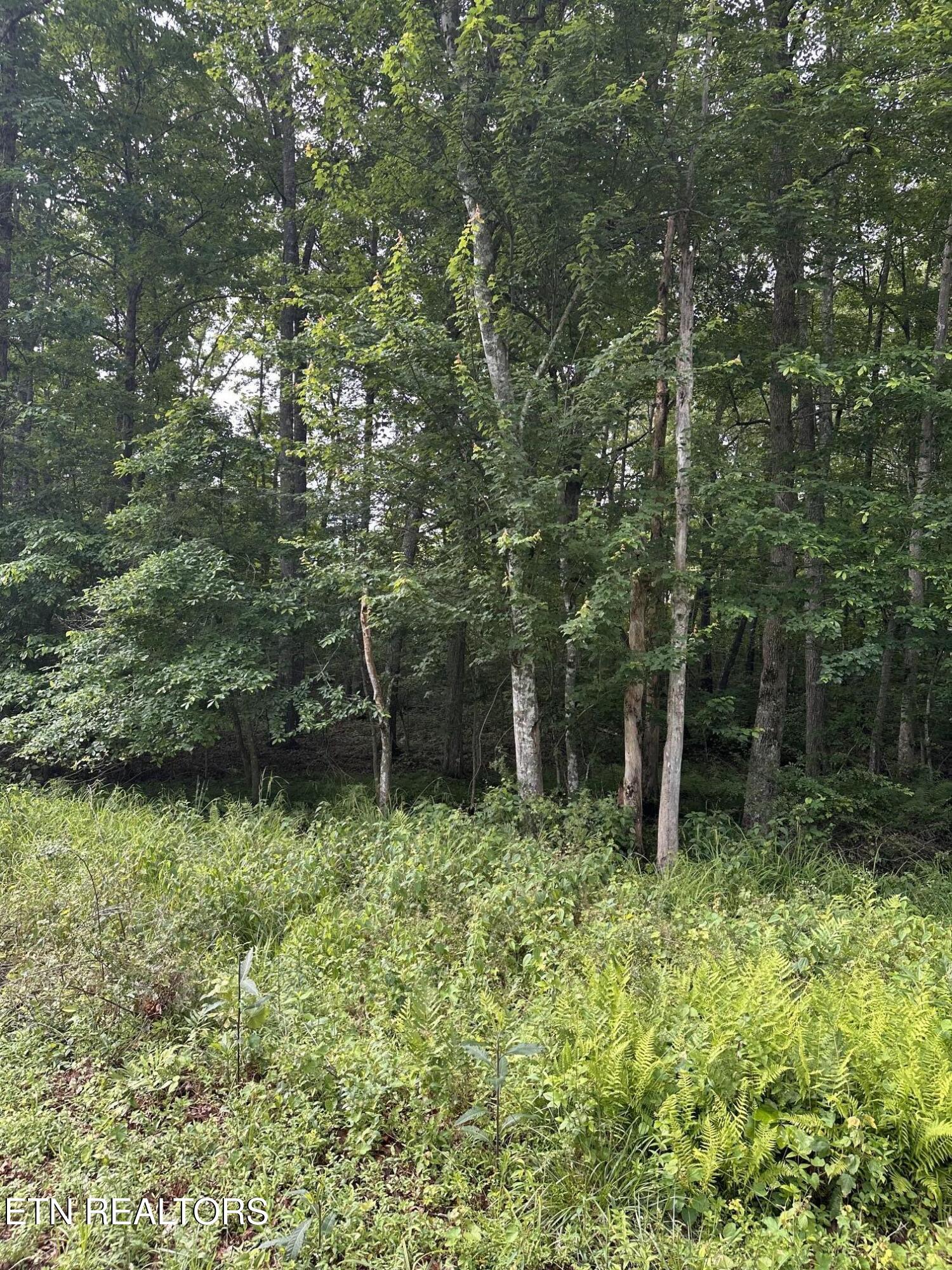 3031 Shawnee Road Crossville TN 38572