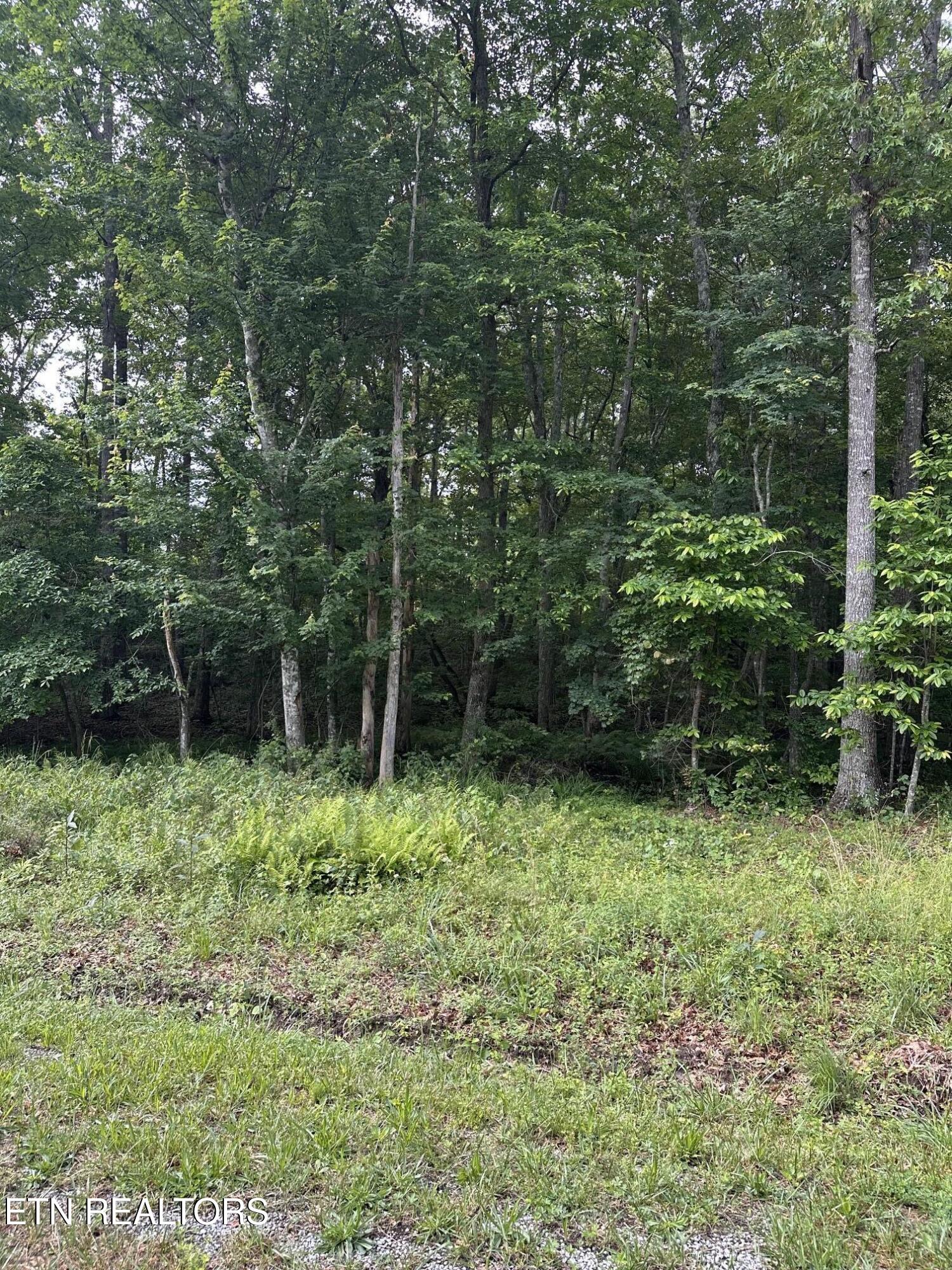3031 Shawnee Road Crossville TN 38572