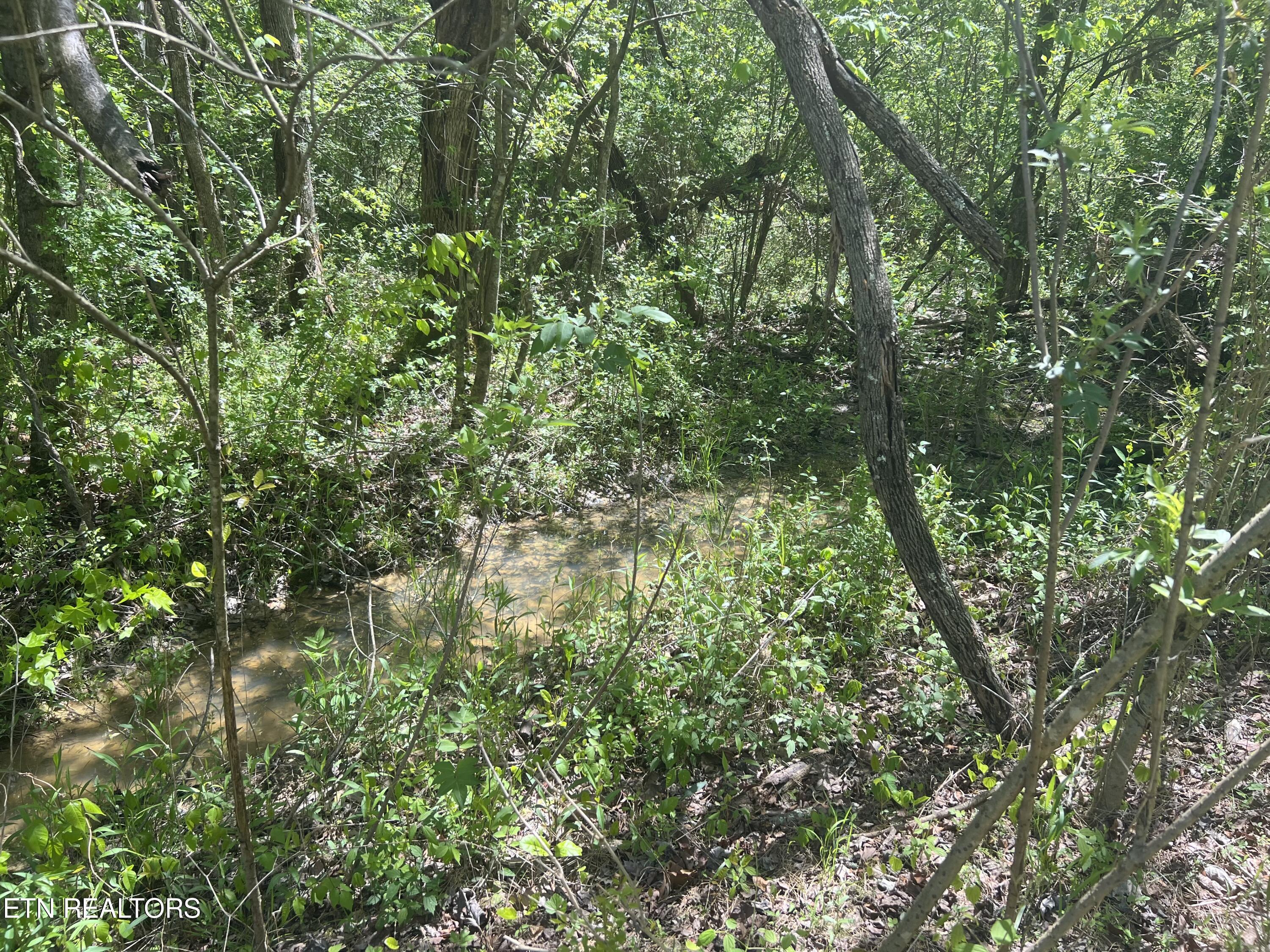 Dunn Road Tellico Plains TN 37385