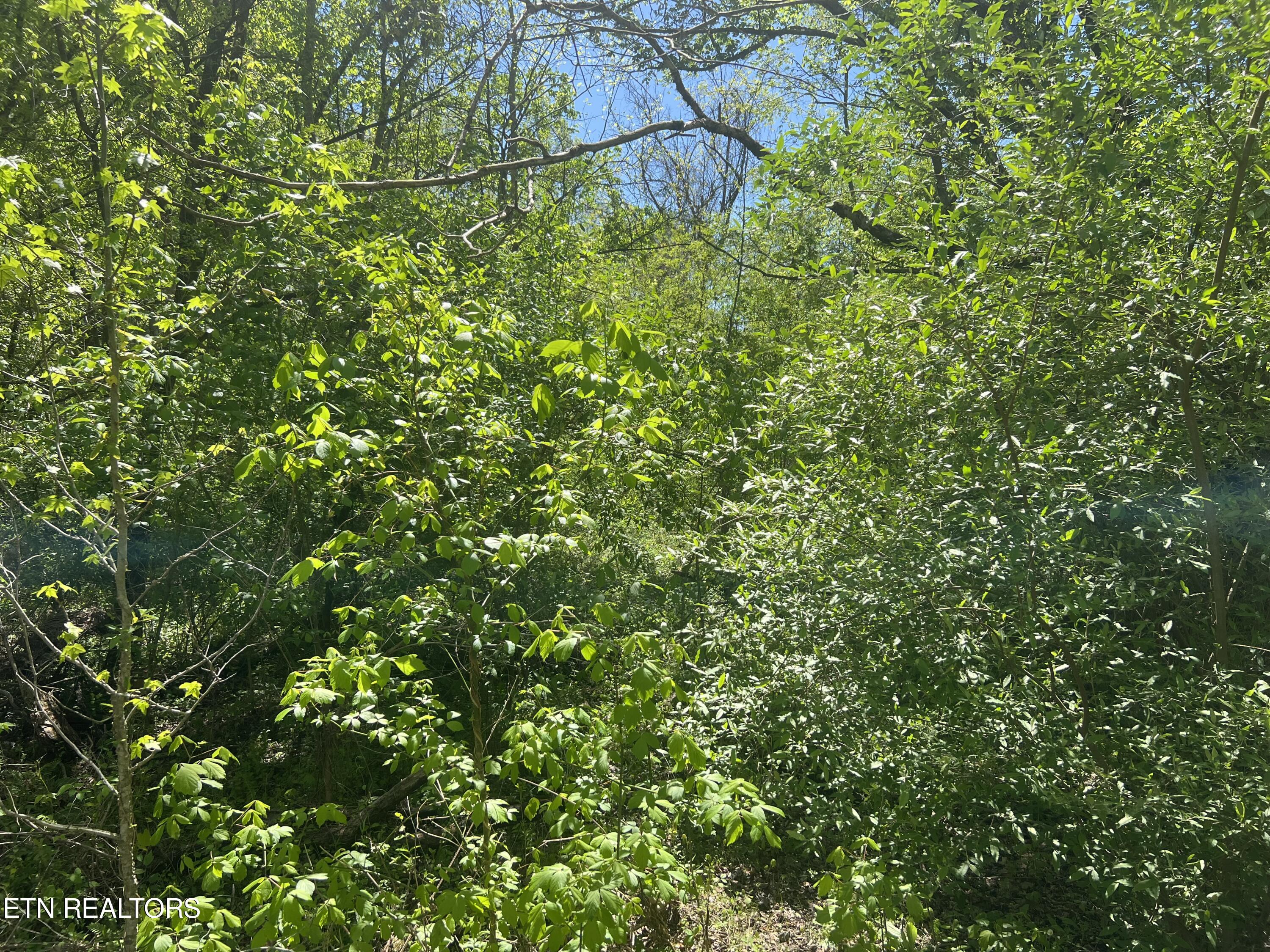 Dunn Road Tellico Plains TN 37385