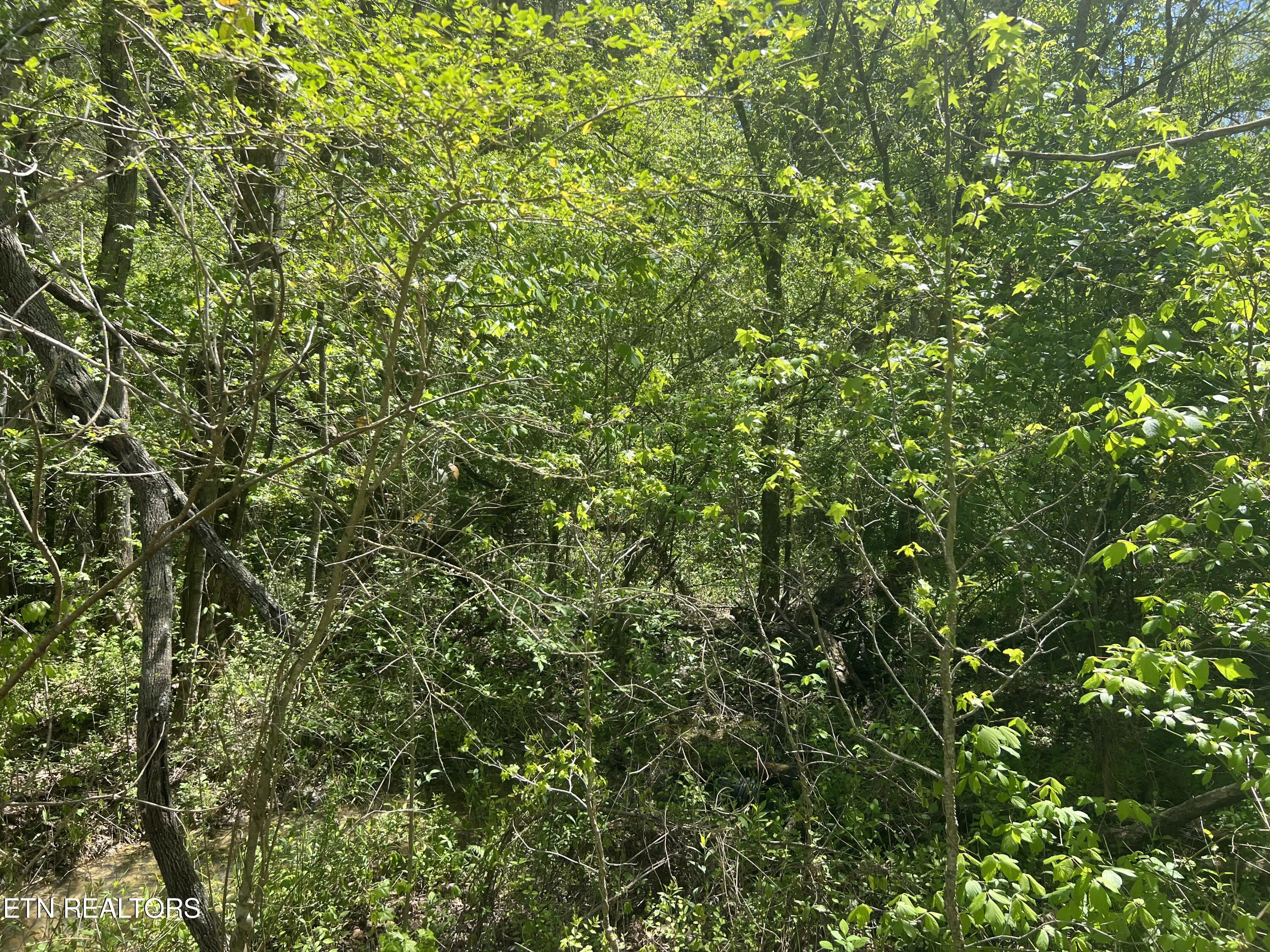 Dunn Road Tellico Plains TN 37385