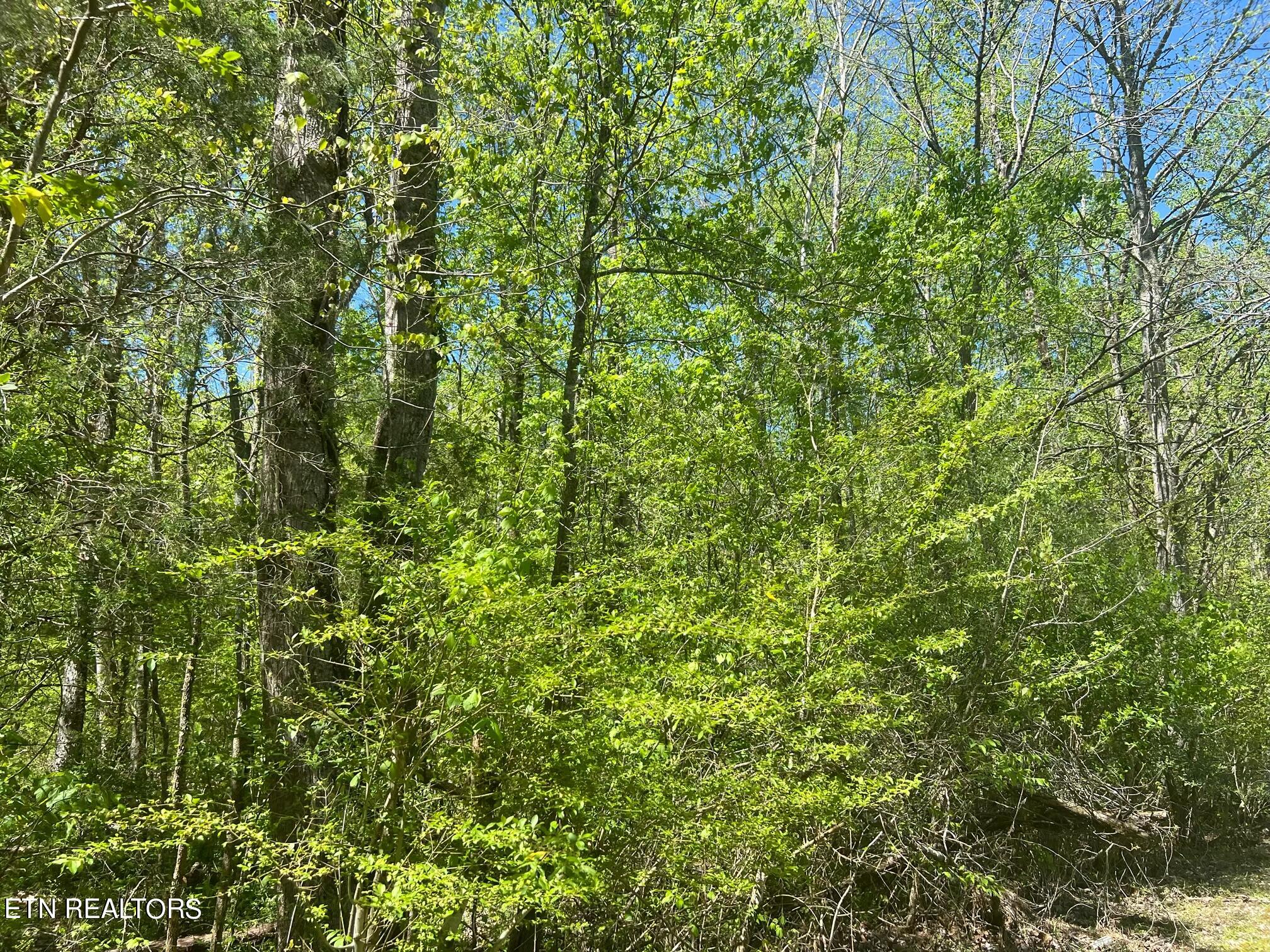 Dunn Road Tellico Plains TN 37385