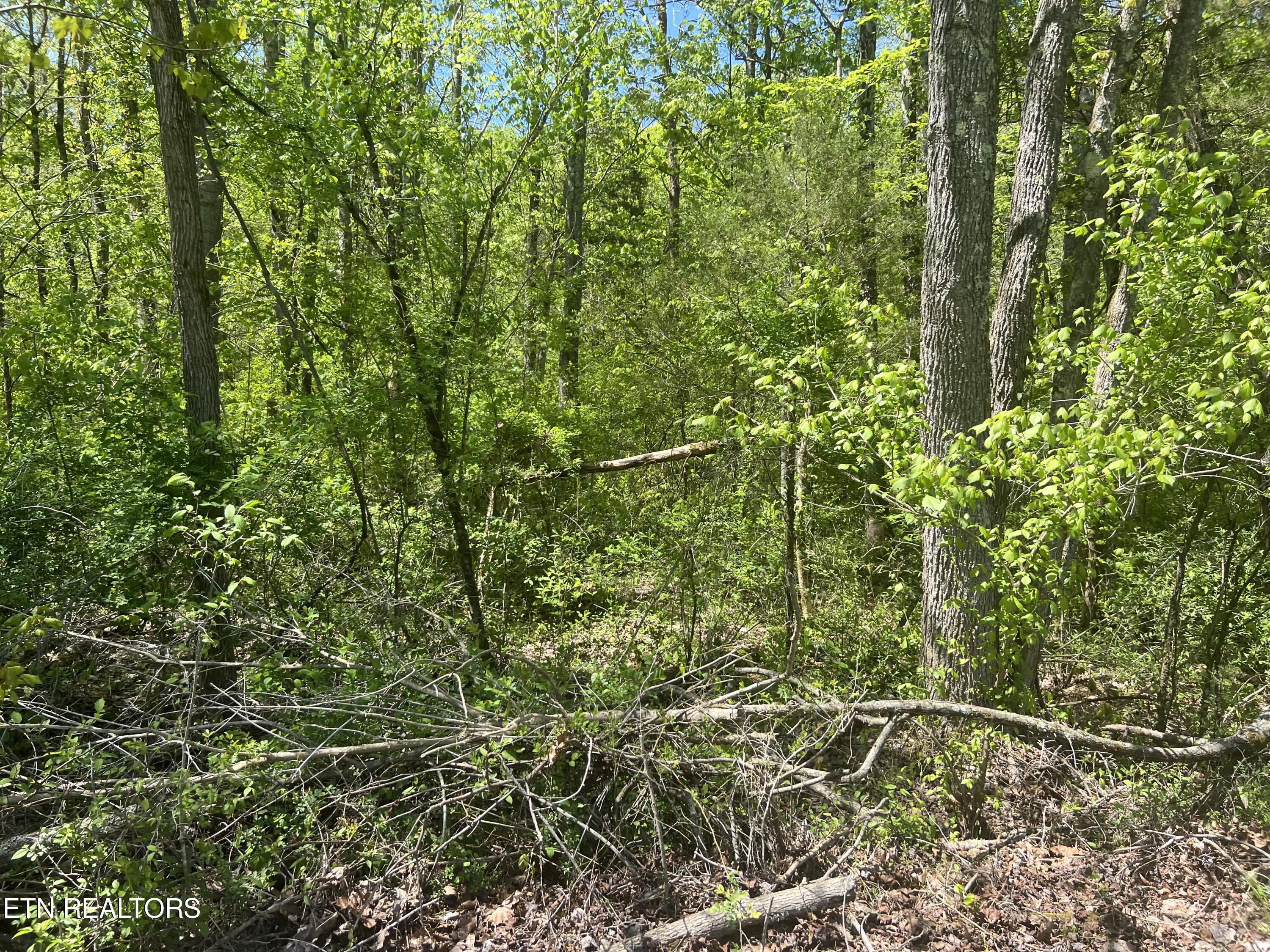 Dunn Road Tellico Plains TN 37385