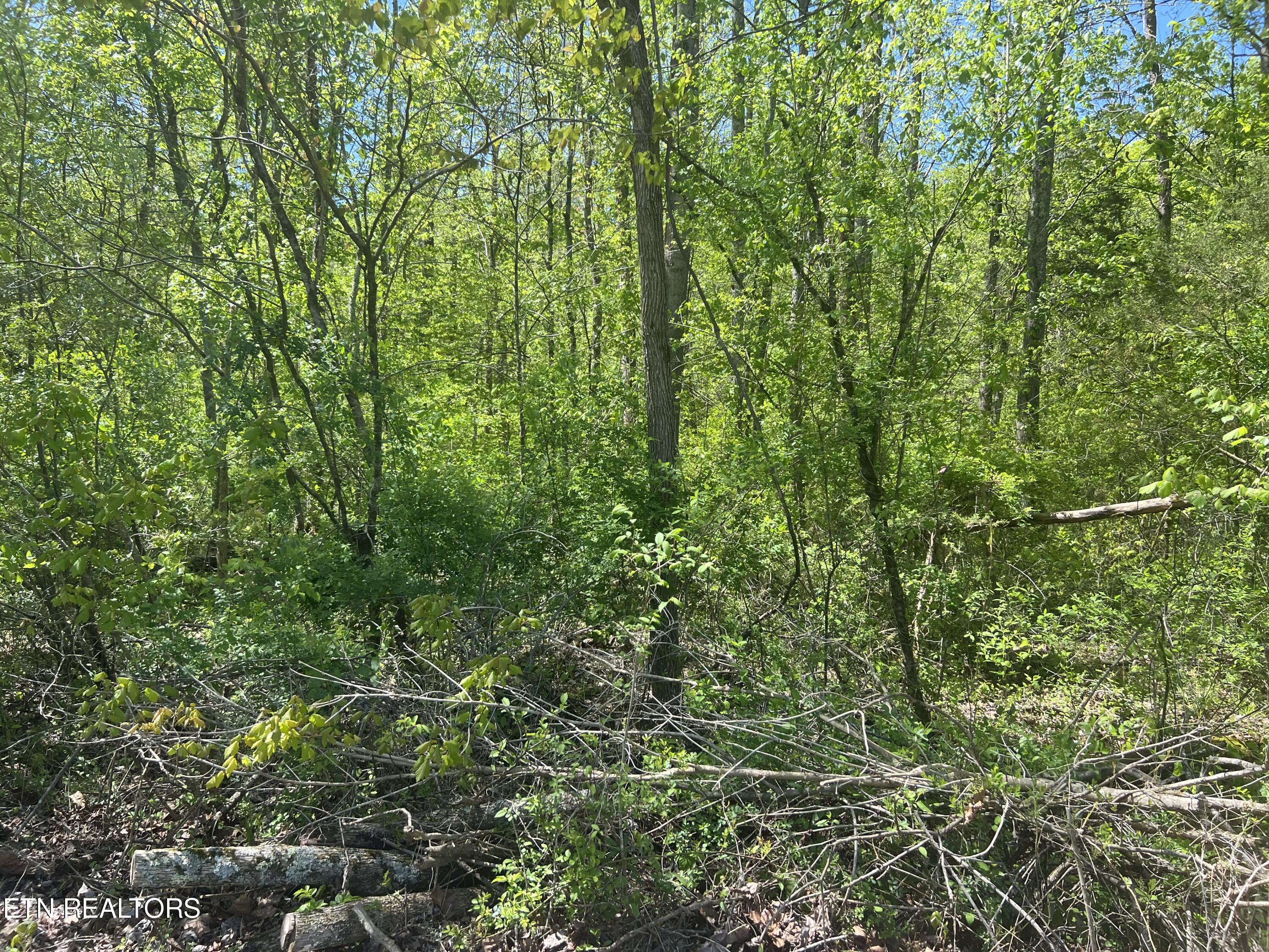 Dunn Road Tellico Plains TN 37385