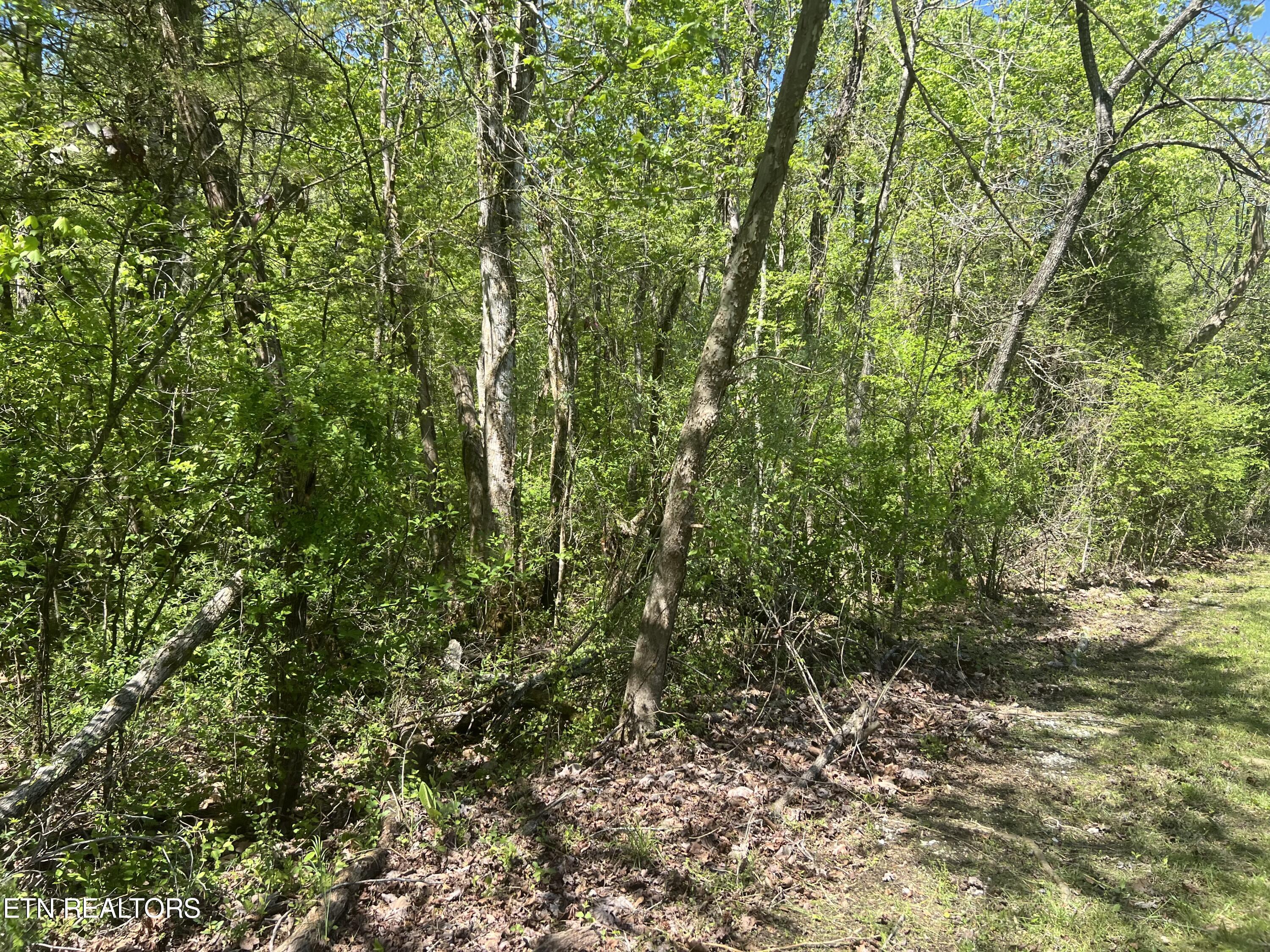 Dunn Road Tellico Plains TN 37385