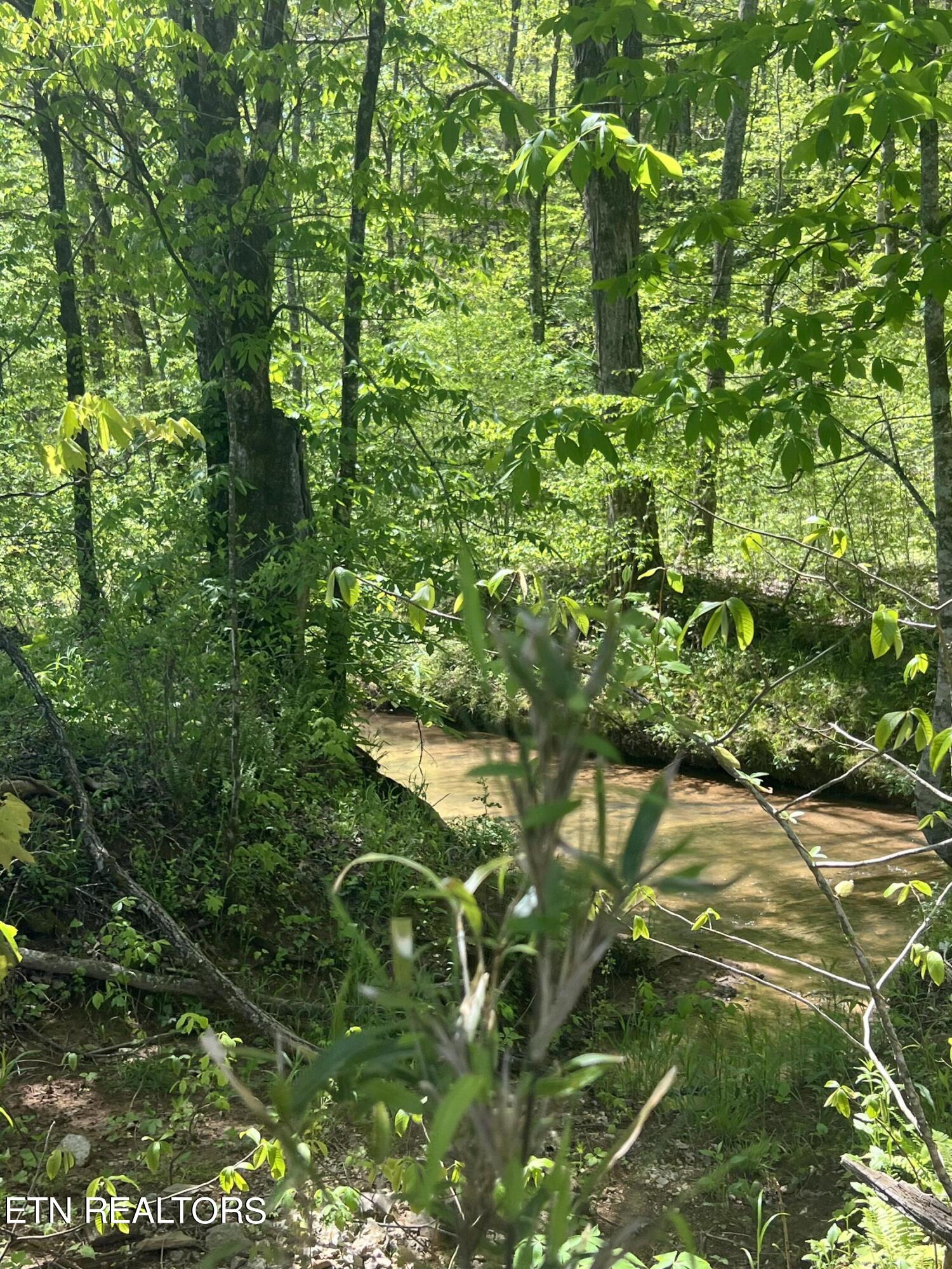 Dunn Road Tellico Plains TN 37385