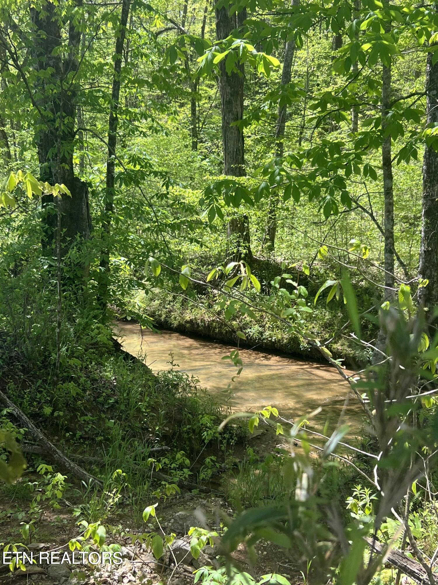Dunn Road Tellico Plains TN 37385