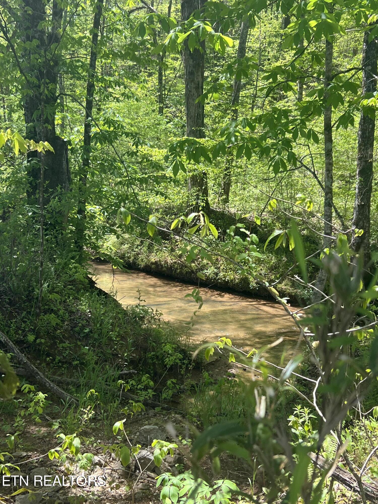 Dunn Road Tellico Plains TN 37385
