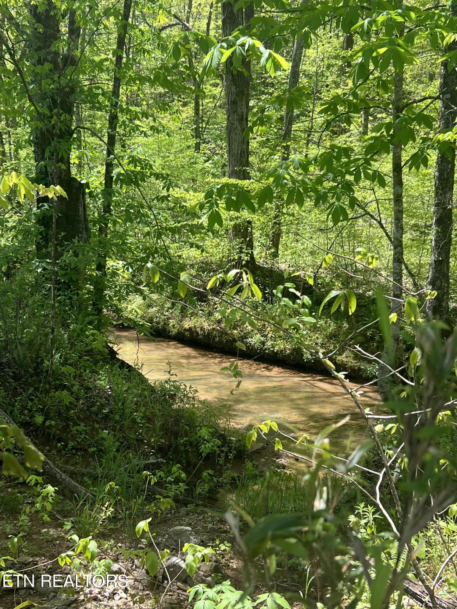 Dunn Road Tellico Plains TN 37385