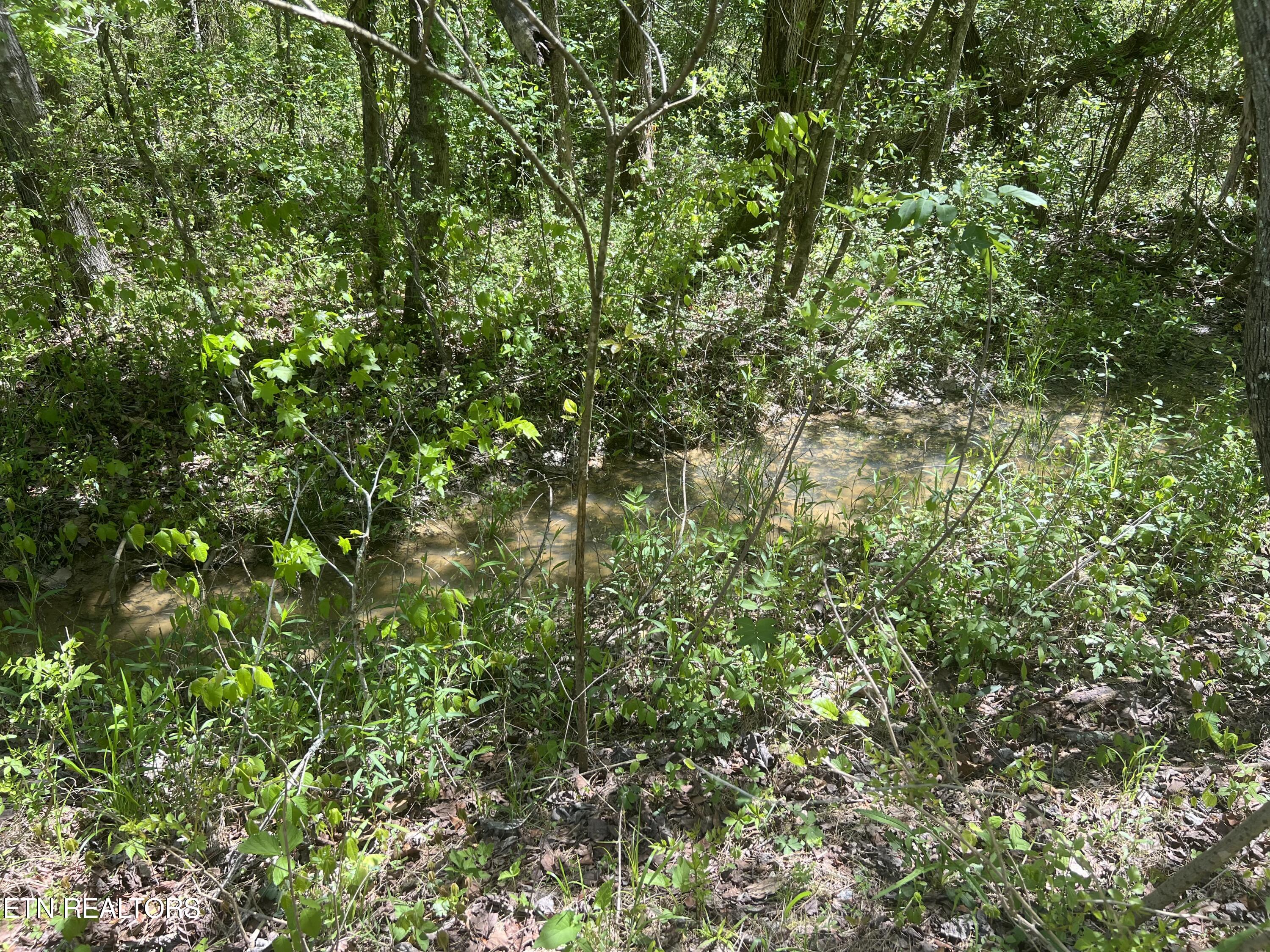 Dunn Road Tellico Plains TN 37385