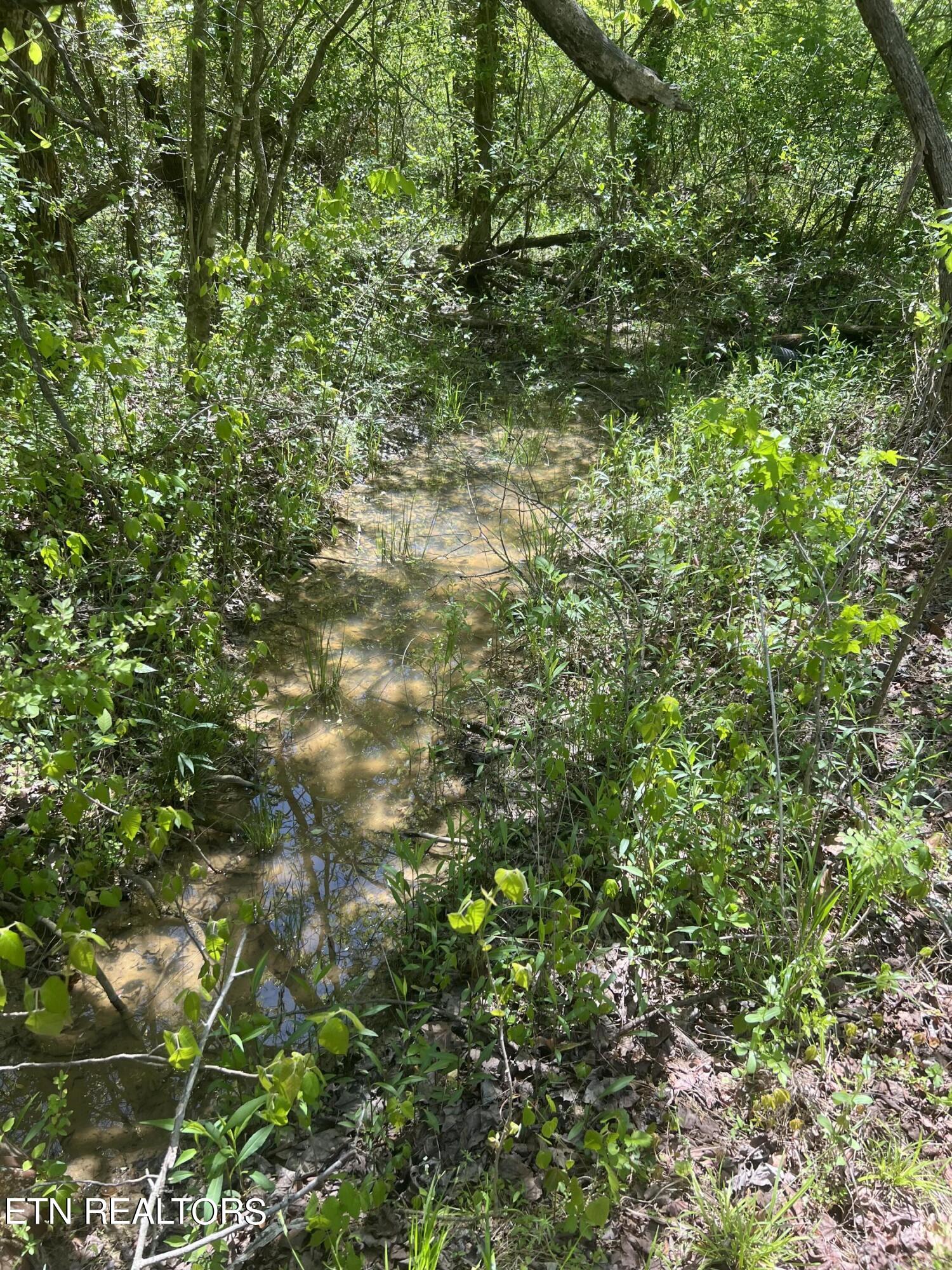 Dunn Road Tellico Plains TN 37385