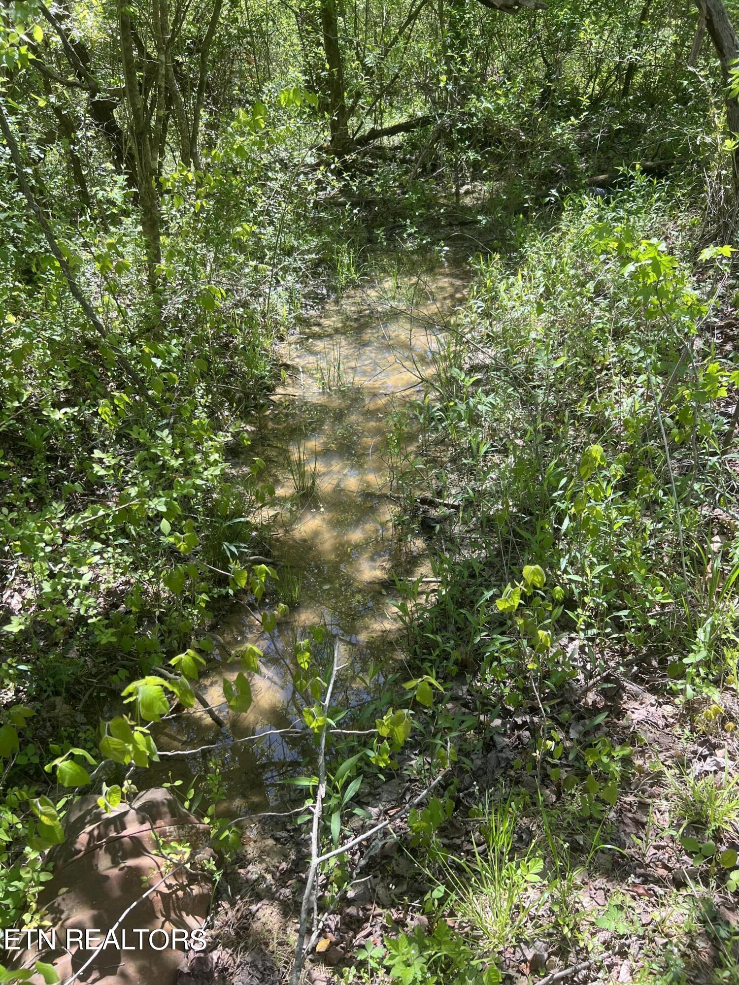 Dunn Road Tellico Plains TN 37385