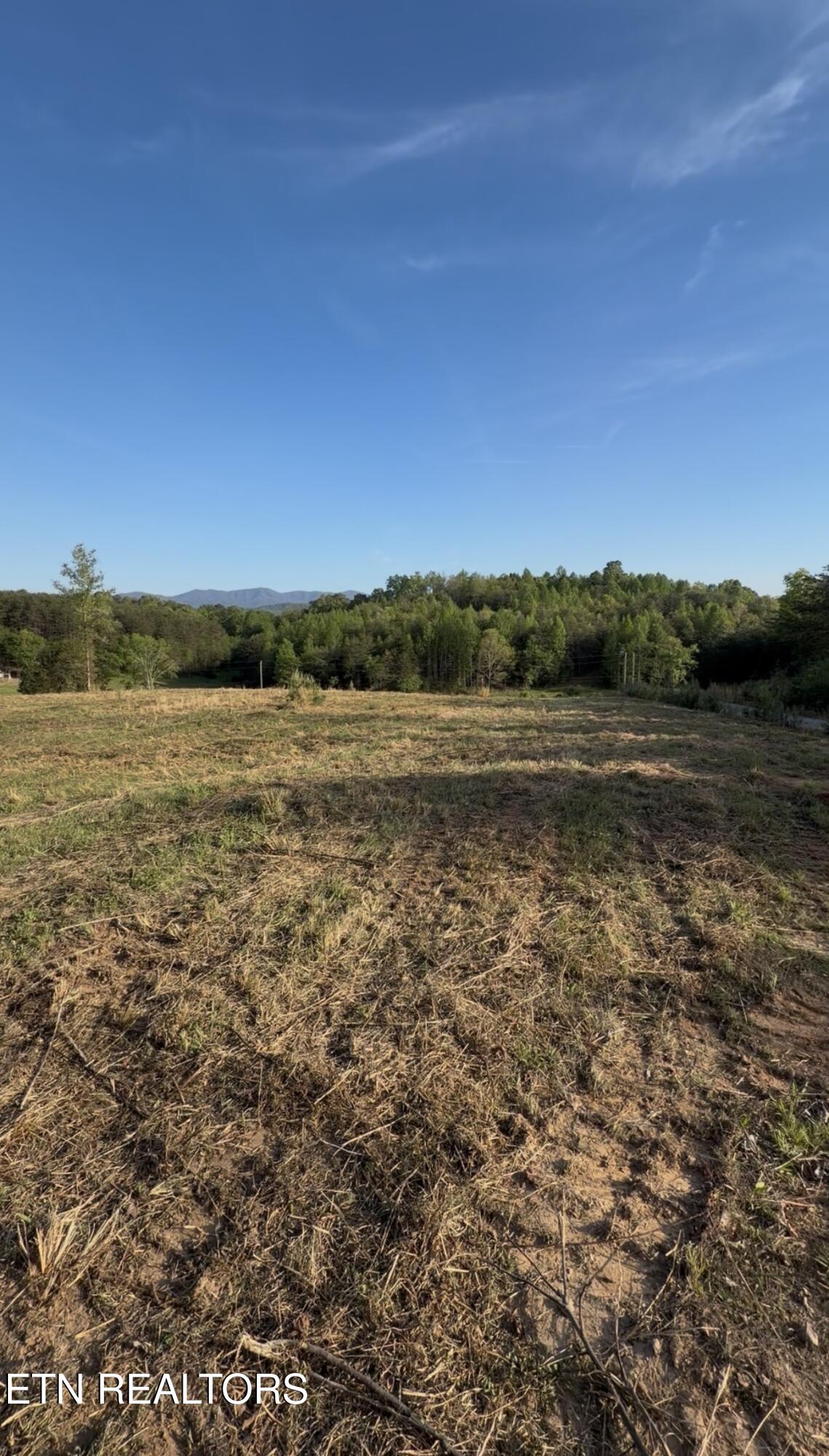 Lot 11 Curtis Road Tellico Plains TN 37385
