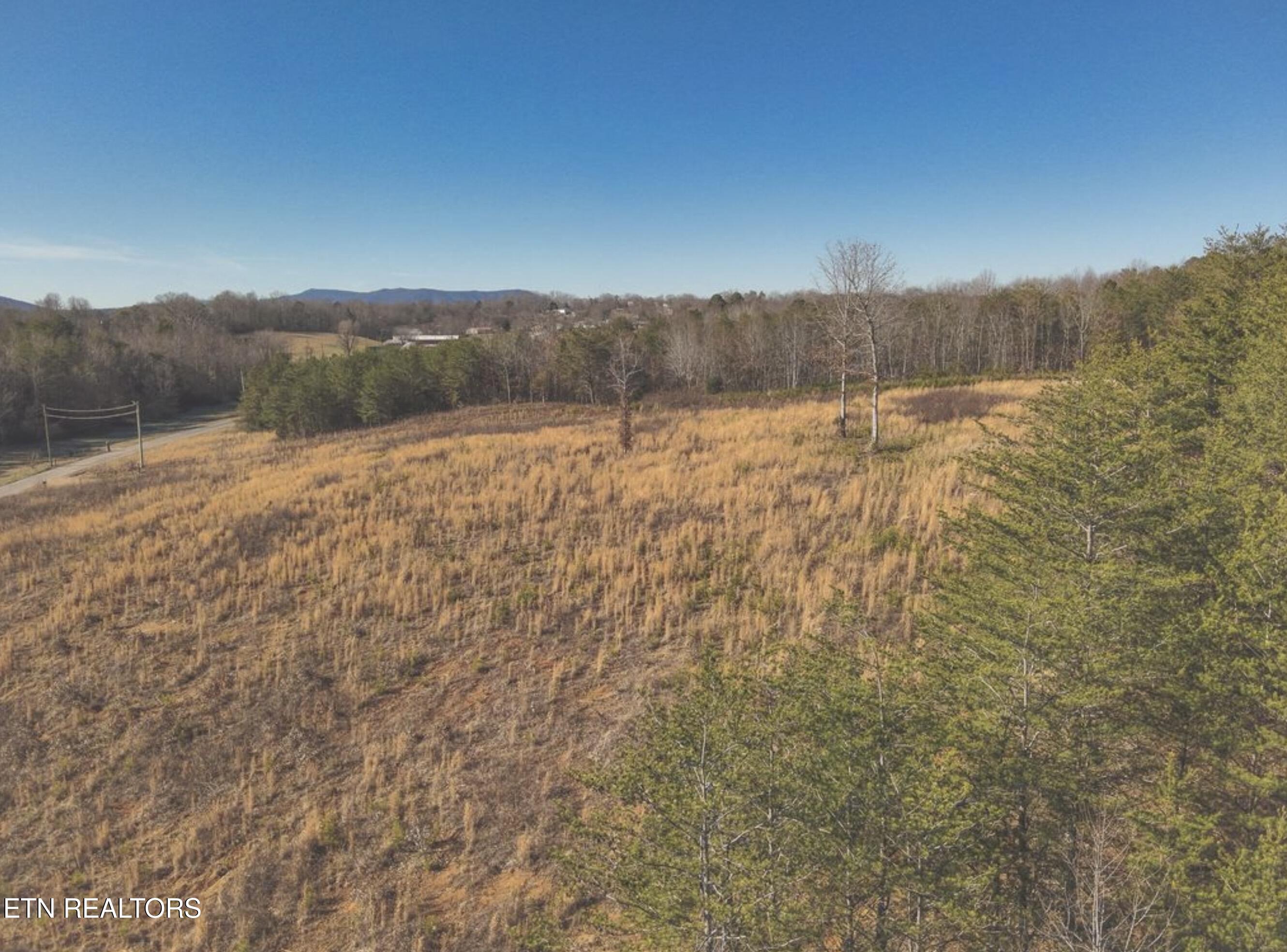 Lot 11 Curtis Road Tellico Plains TN 37385