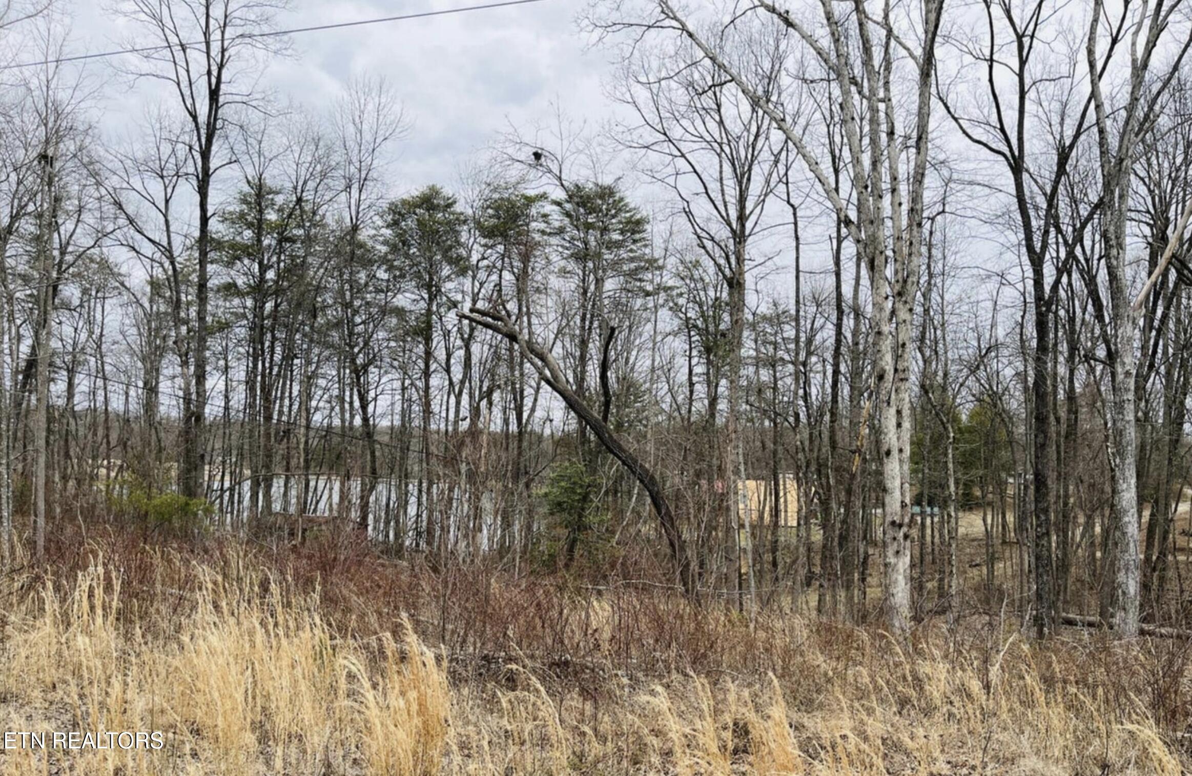 2, 3, 4, 5 Tresa Street Crossville TN 38572