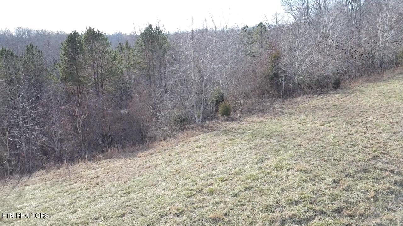 516 Cedar Gate Lane Lafollette TN 37766