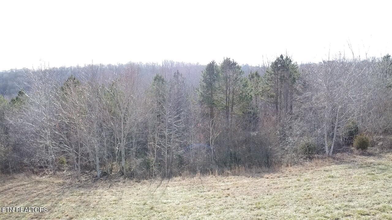 516 Cedar Gate Lane Lafollette TN 37766