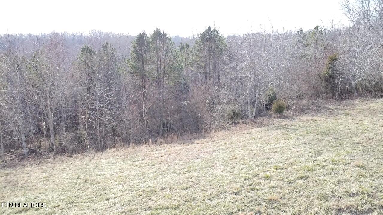 516 Cedar Gate Lane Lafollette TN 37766
