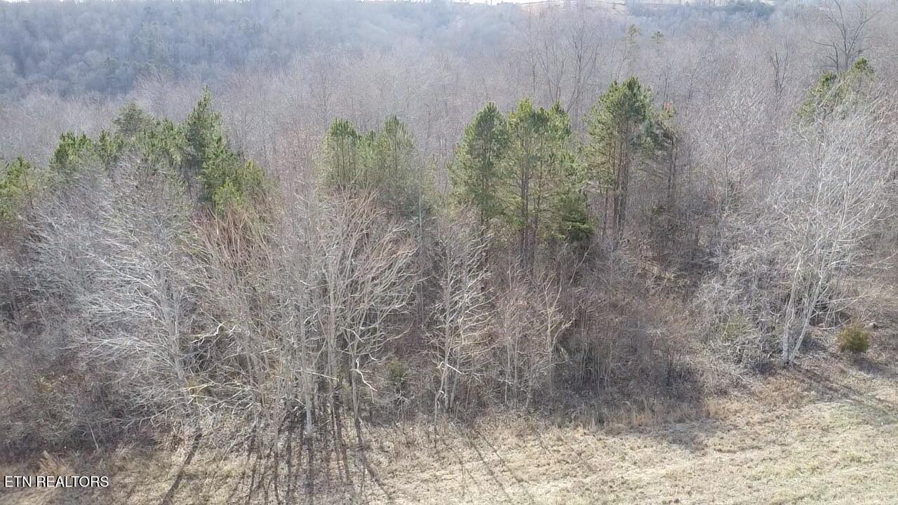 516 Cedar Gate Lane Lafollette TN 37766