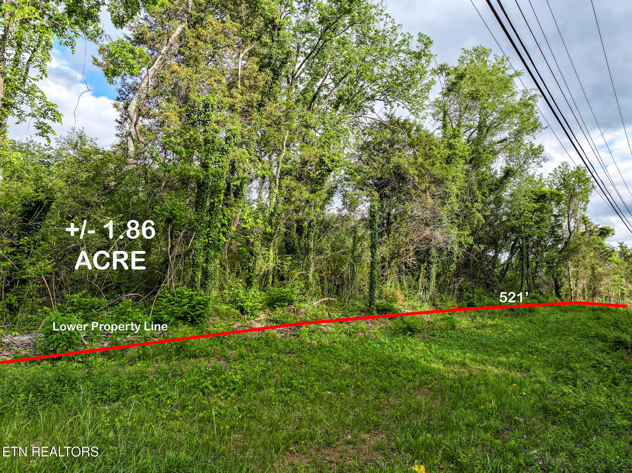 Morristown TN 37814