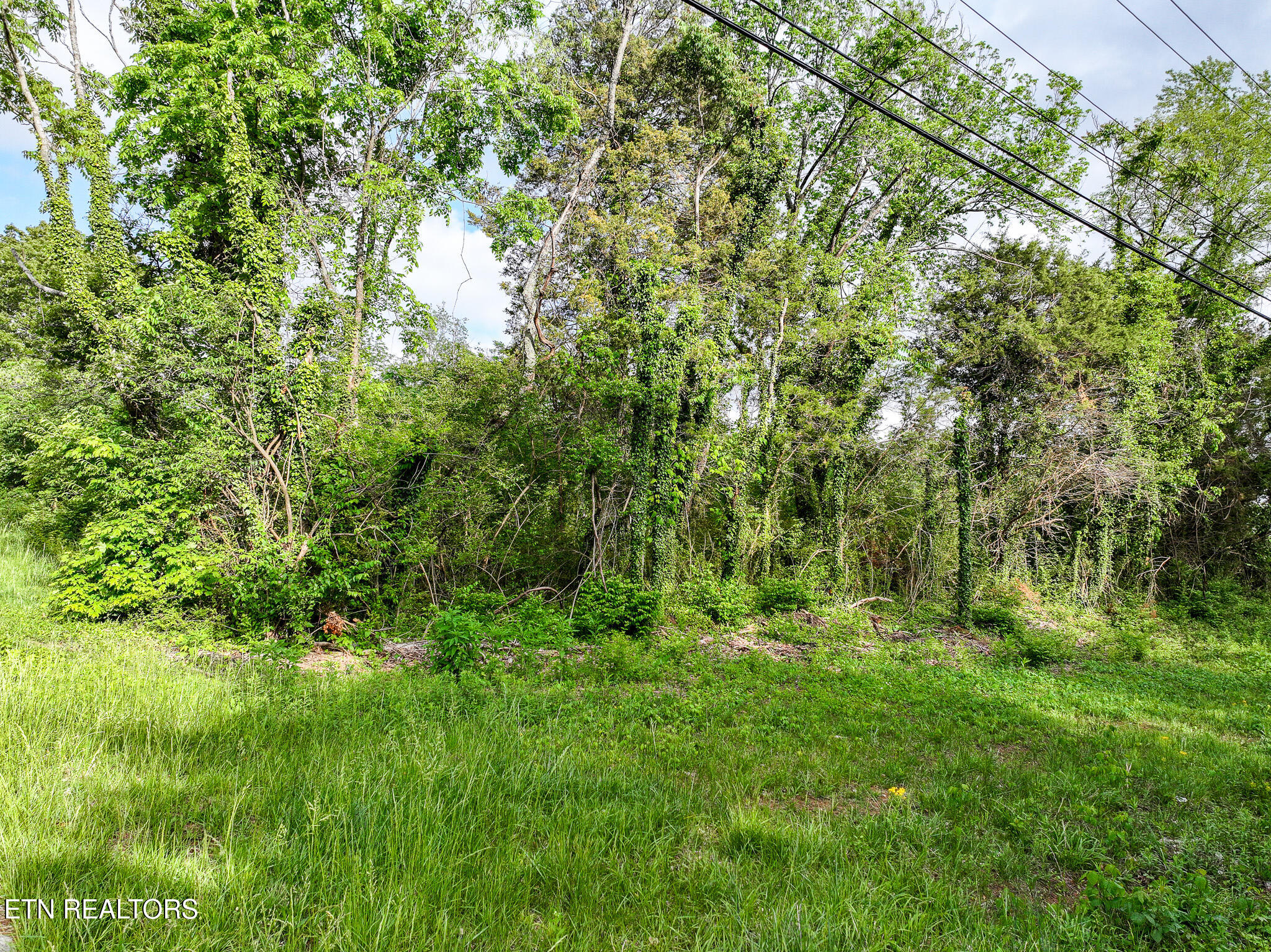 Morristown TN 37814