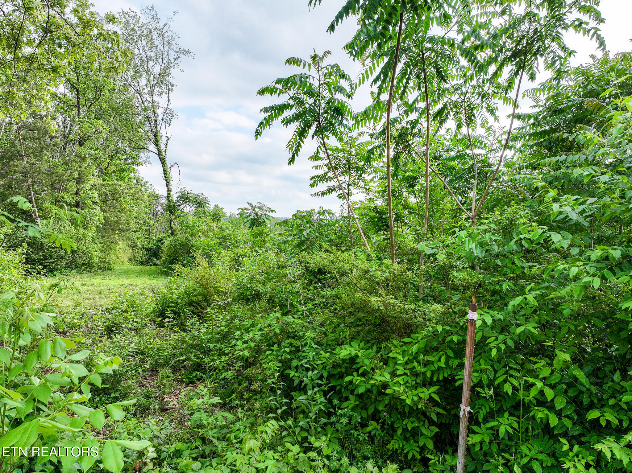 Morristown TN 37814