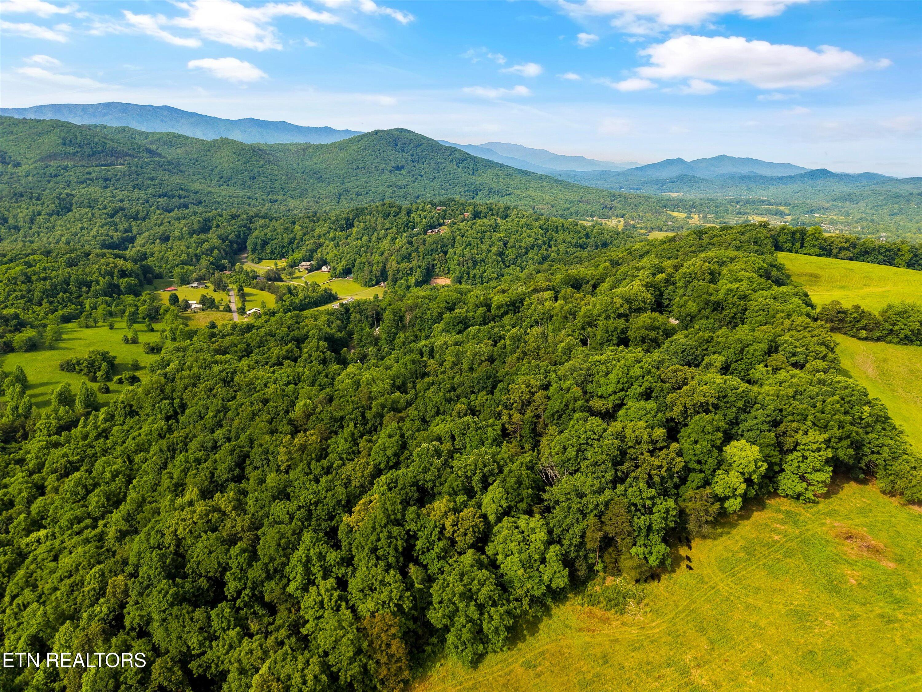 Country Mtn Road Cosby TN 37722
