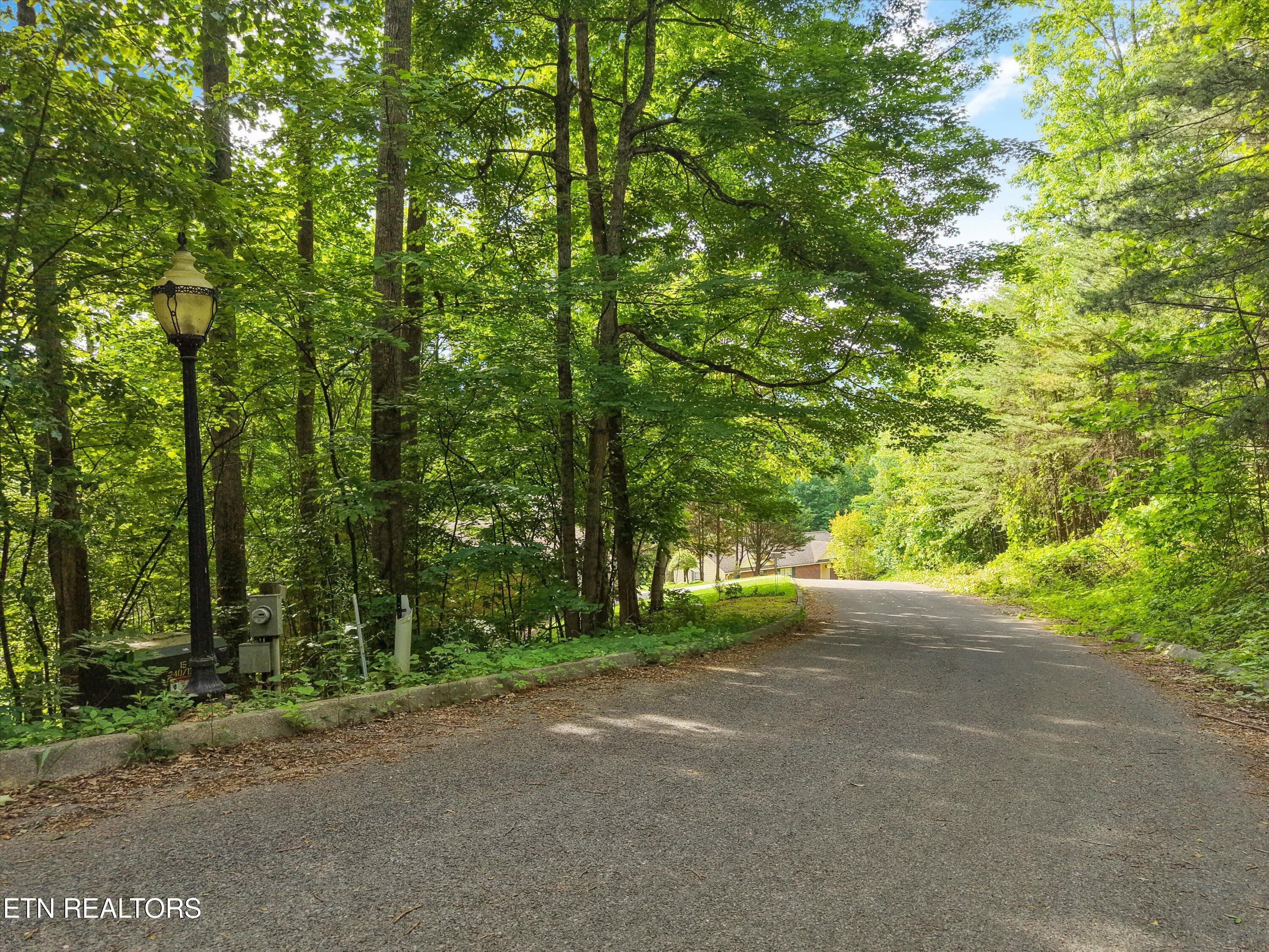 Country Mtn Road Cosby TN 37722