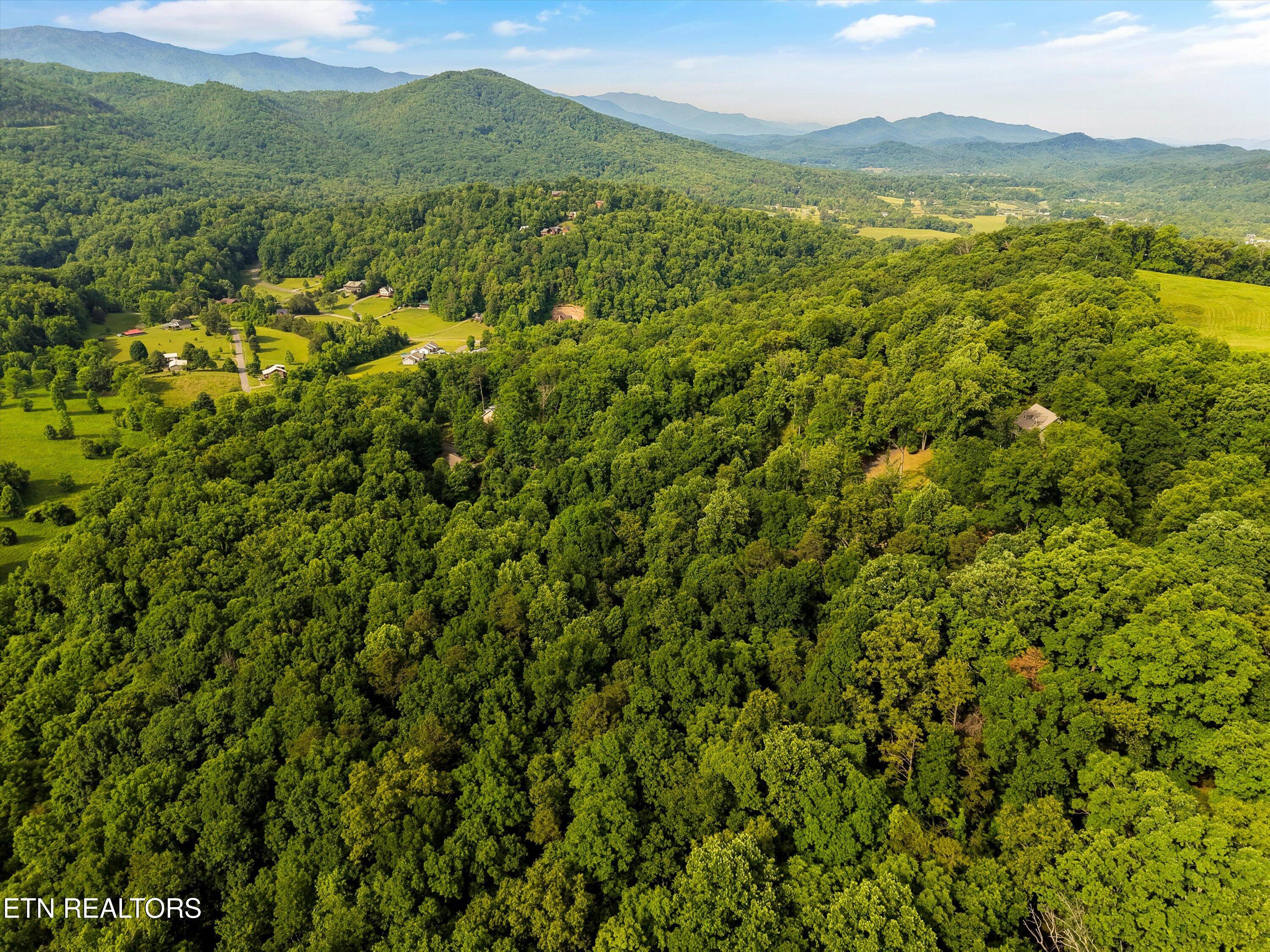 Country Mtn Road Cosby TN 37722