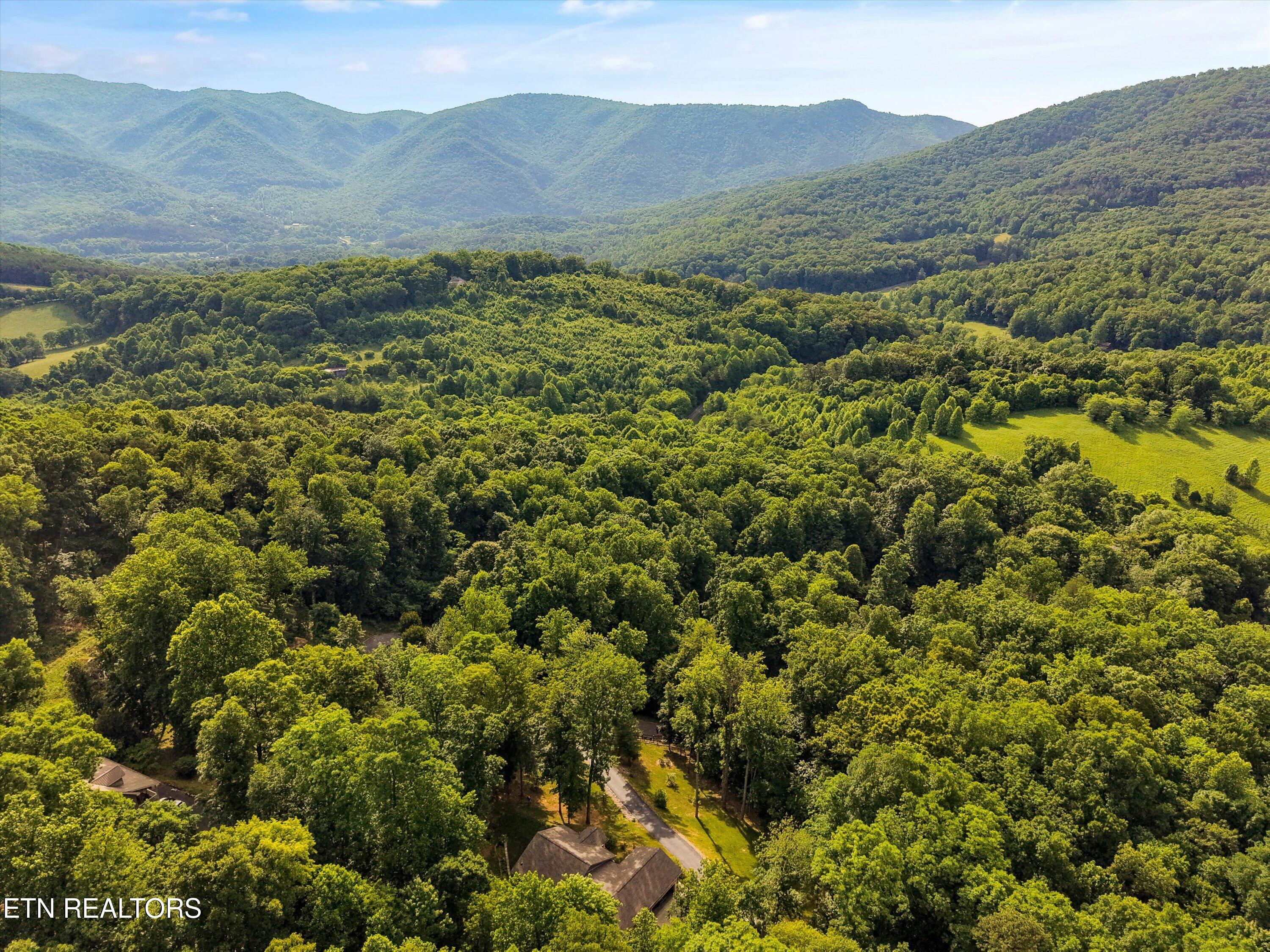 Country Mtn Road Cosby TN 37722