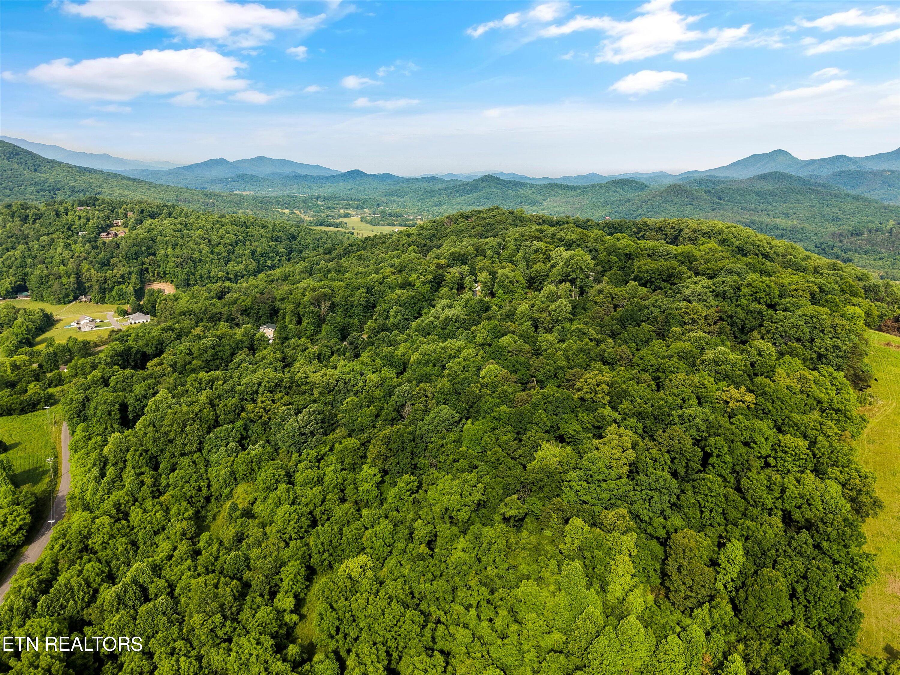 Country Mtn Road Cosby TN 37722