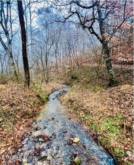 324 Vannoy Road Tazewell TN 37879