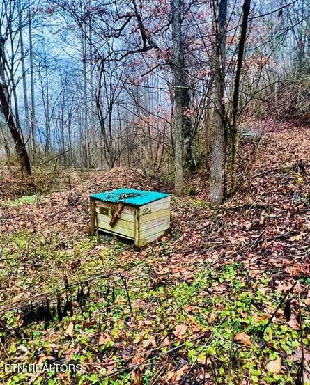 324 Vannoy Road Tazewell TN 37879