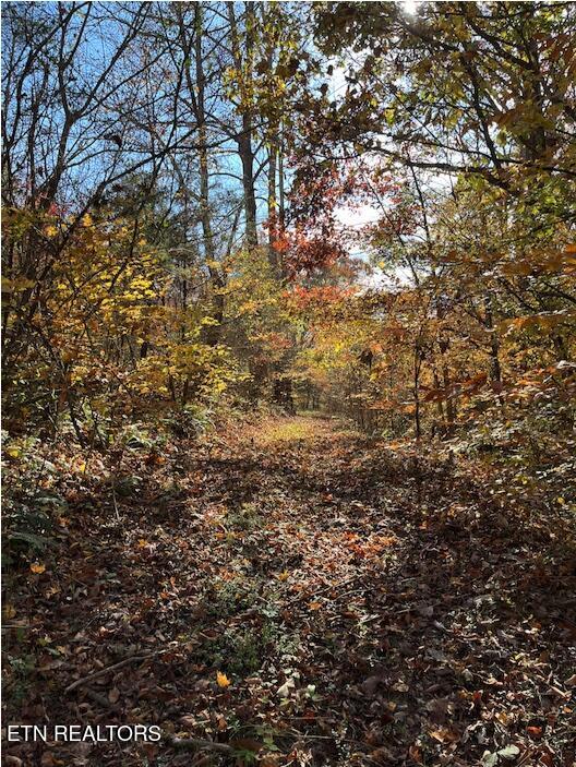 324 Vannoy Road Tazewell TN 37879