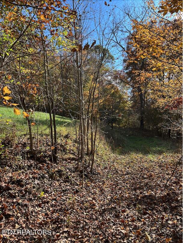 324 Vannoy Road Tazewell TN 37879