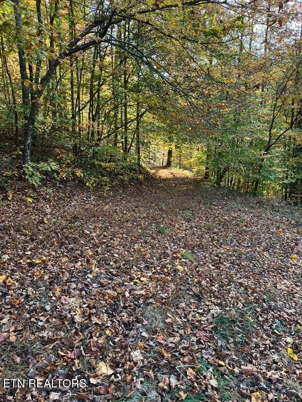 324 Vannoy Road Tazewell TN 37879