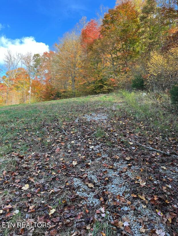 324 Vannoy Road Tazewell TN 37879