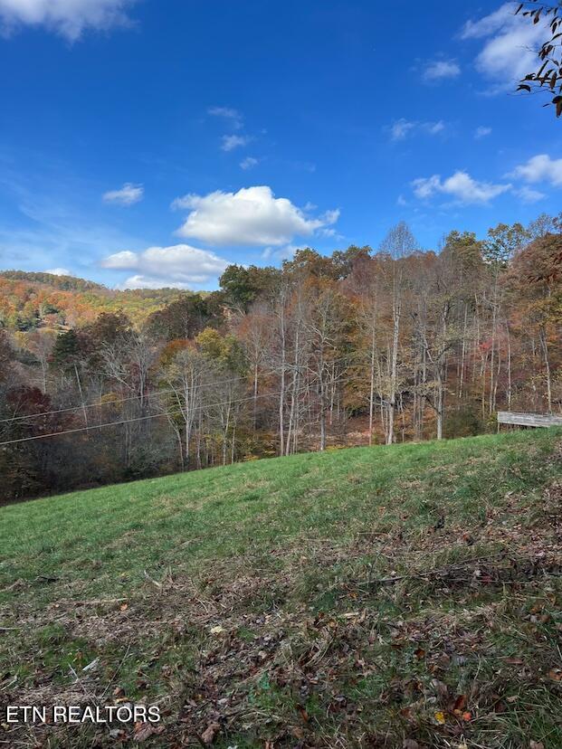 324 Vannoy Road Tazewell TN 37879