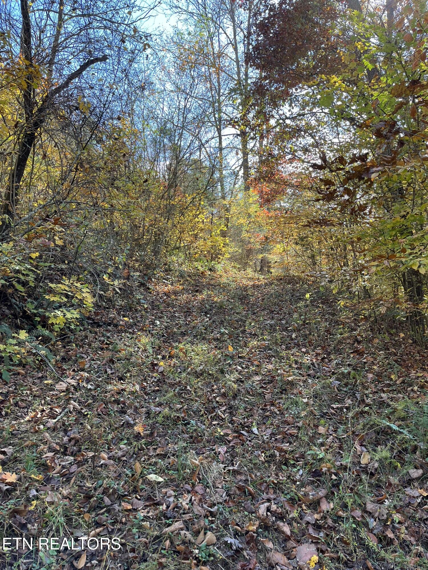 324 Vannoy Road Tazewell TN 37879