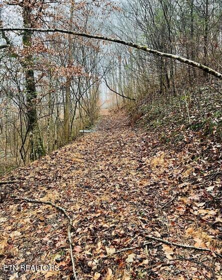 324 Vannoy Road Tazewell TN 37879